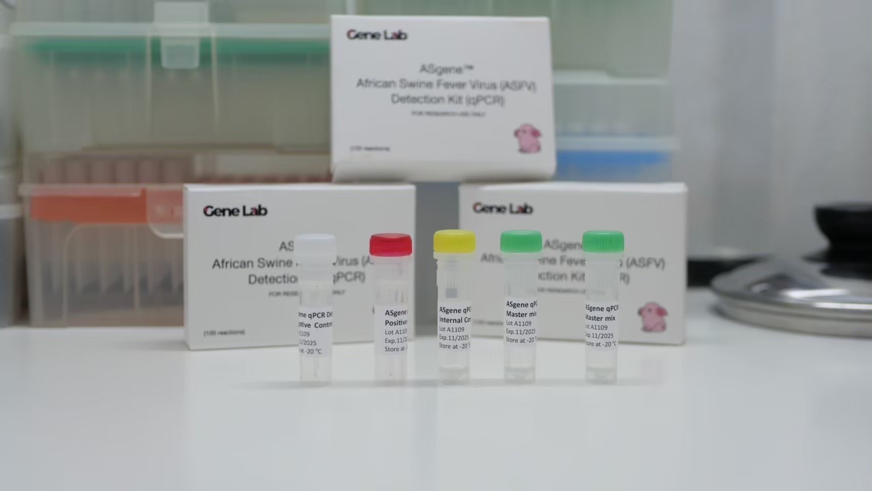 ASgene African Swine Fever Virus (ASFV) Detection Kit (qPCR)